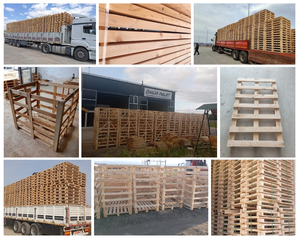 Rozenburg Houten Kisten, Europallets Groothandel Kopen